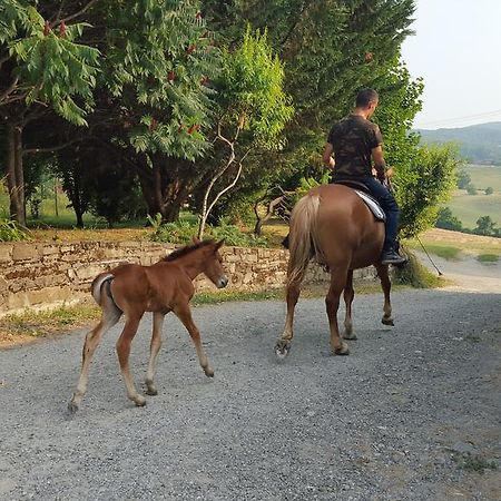 Vila Agriturismo Corte Del Gallo Rivergaro Exteriér fotografie