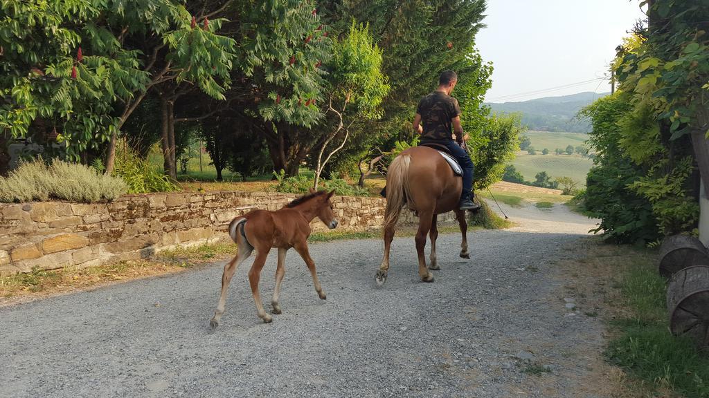Agriturismo Corte Del Gallo Rivergaro Exteriér fotografie